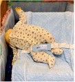 Reproduisant à l'aide d'une poupée la chute d'un bébé par-dessus le côté du Nap Nanny placé dans un lit d'enfant 