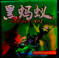 Black Ant 1