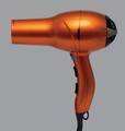Conair model 259/279 hair dryer (colour may vary)
