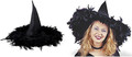 Feather Witch Women’s Hat, item # 00643569