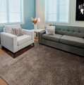 Hometrends Shiny Shag Area Rug in Taupe
