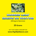 Horned Leaf Maeng Da Kratom, 25 grams
