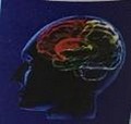 Logo on labels of Smart Brain Formulations products