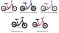 The bicycles from years 2013 to 2019 are affected