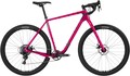 Apex 1 Bike – 29”, Carbon, Pink