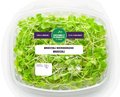 Microgreens - broccoli - 75 grammes