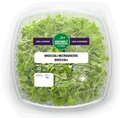 Microgreens - broccoli - 140 grammes