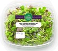 Microgreen - mélange sucré et croquante - 75 grammes