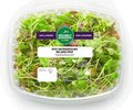 Spicy Microgreen Mix - 75 grams