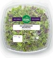 Microgreen - mélange épicé - 140 grammes