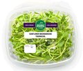 Microgreens - tournesol - 100 grammes