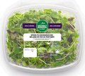Spring Pea Microgreen Mix - 75 grams
