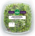 Microgreen - mélange de pois de printemps - 140 grammes