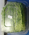 GPM Pea Shoots – 100 grams (back - image 1)