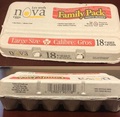 Nova Eggs â Large Size White eggs (18 eggs)