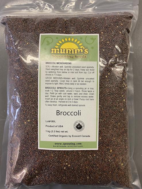 Mumm’s Sprouting Seeds brand Broccoli recalled due to Salmonella