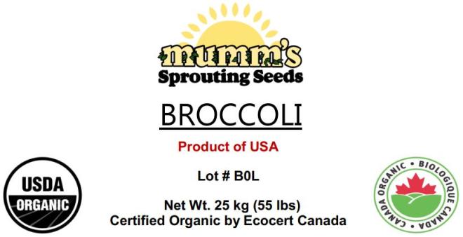 Mumm's Sprouting Seeds - « Broccoli » - 25 kg