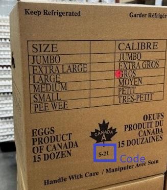 Star Egg - Large Size - 15 Dozen - Front