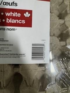 no name - Large Size - 30 Eggs - CUP